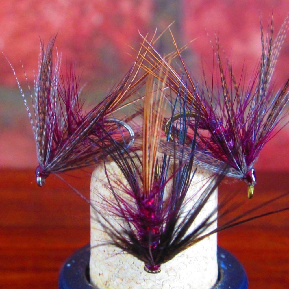 Claret Dabbler