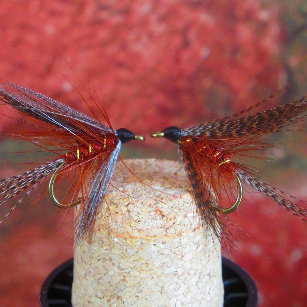 Fiery Brown Dabbler